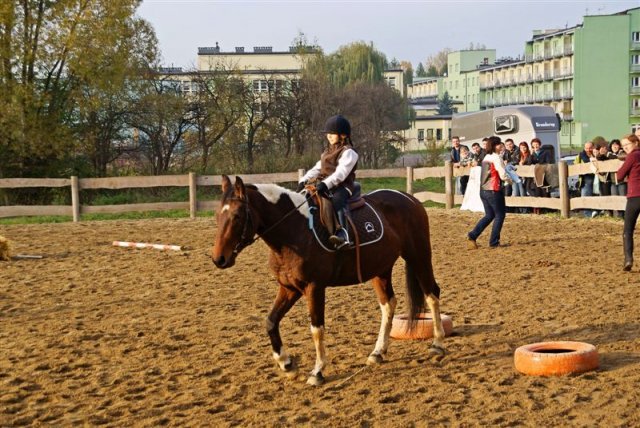 Hubertus 2009